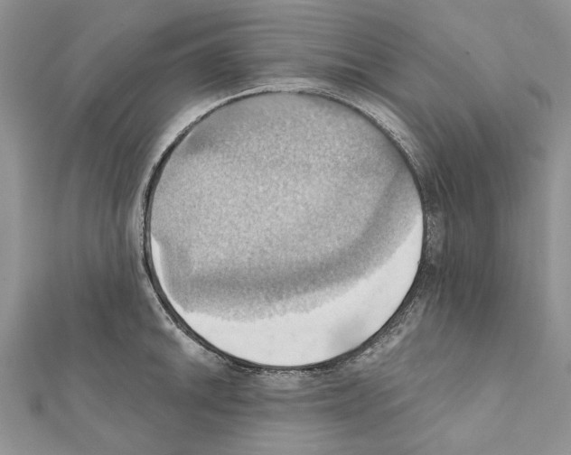 X0000111361046200908211252