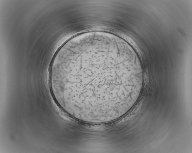 X0000111361047200908211252