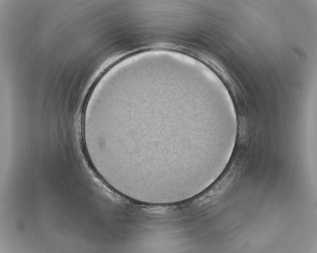 X0000111361048200908211252