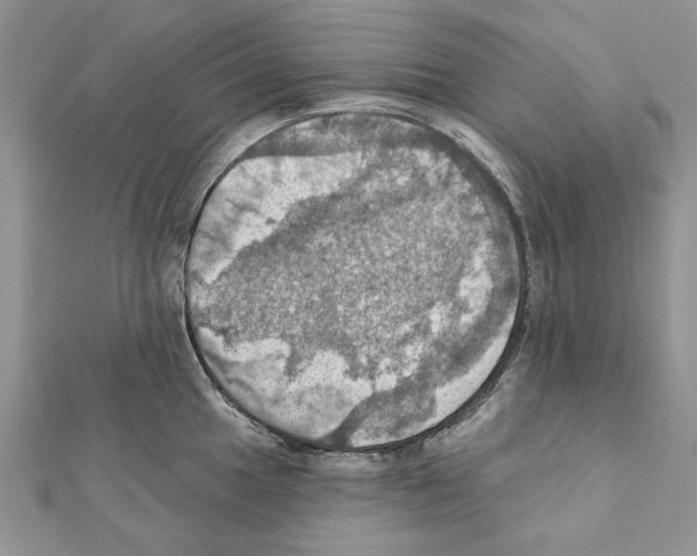 X0000111361049200908211252