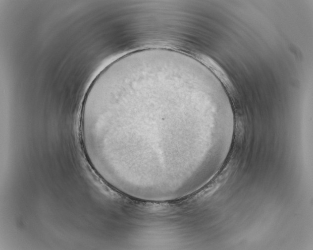 X0000111361052200908211252
