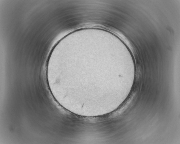 X0000111361053200908211252