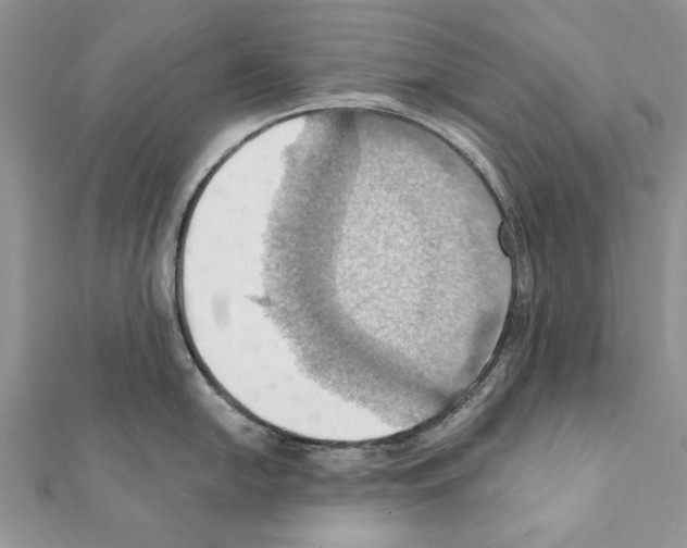 X0000111361054200908211252