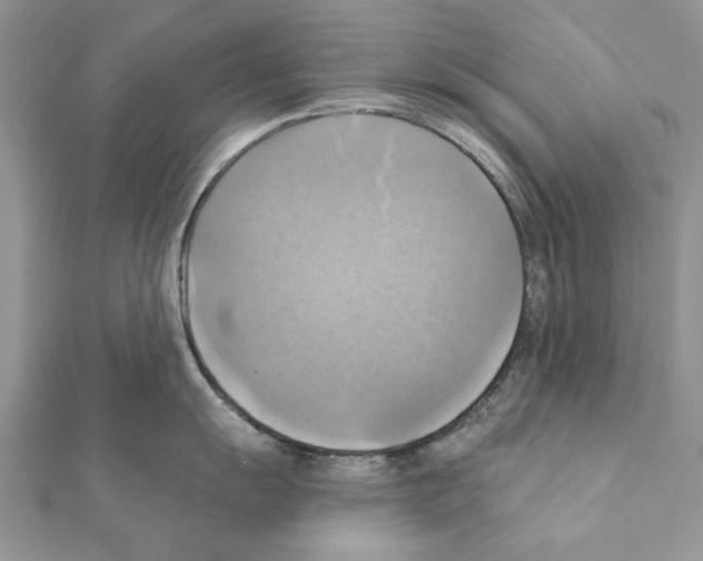 X0000111361055200908211252