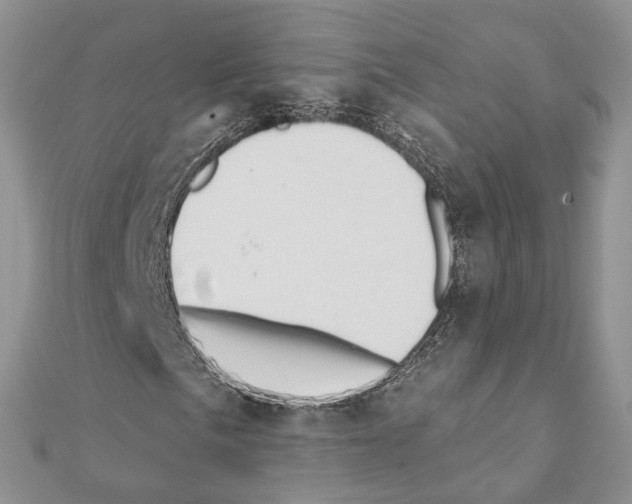 X0000111361057200908211252
