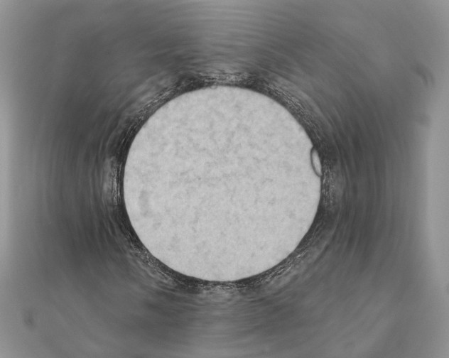 X0000111361058200908211252