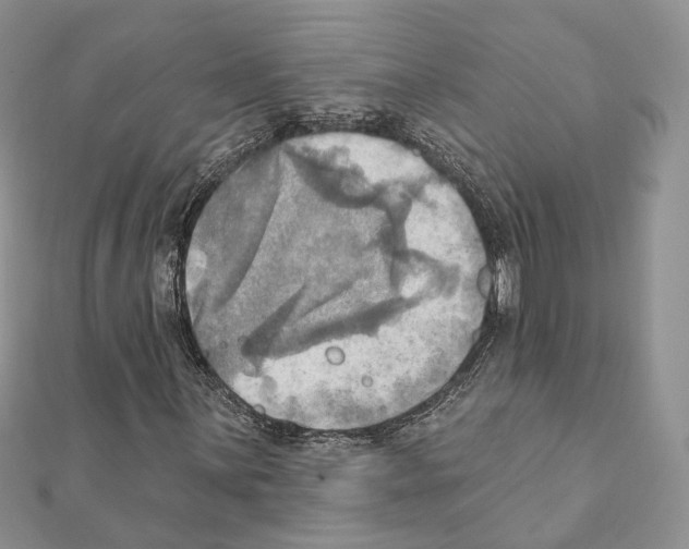 X0000111361059200908211252