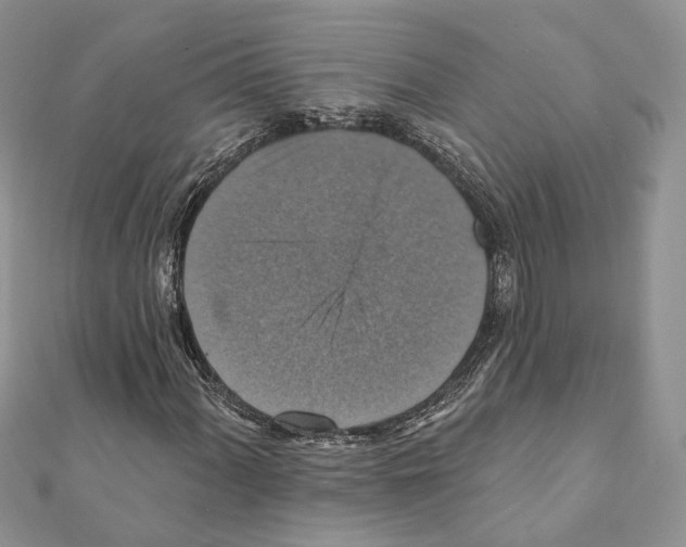 X0000111361060200908211252