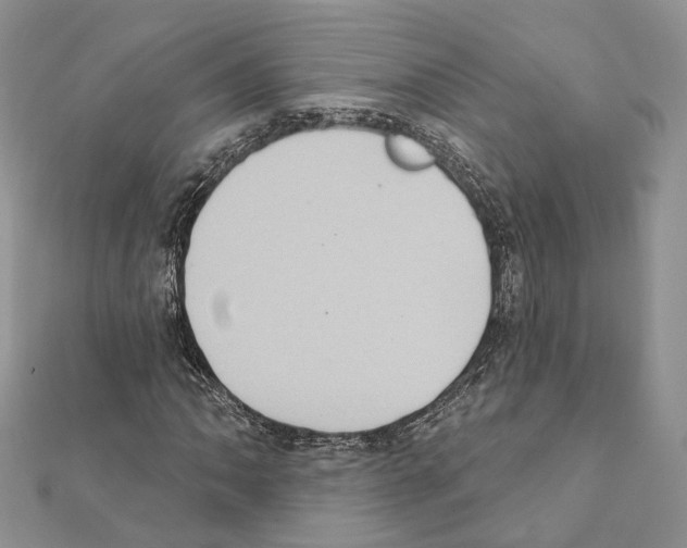 X0000111361062200908211252