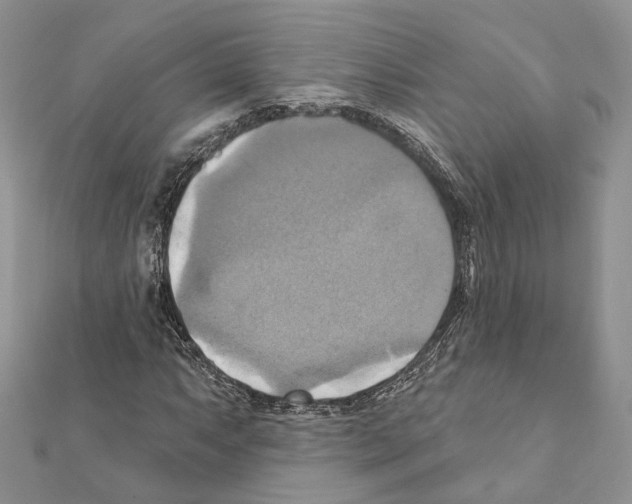 X0000111361063200908211252