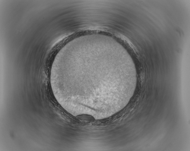 X0000111361064200908211252