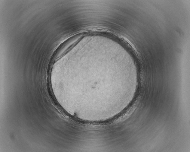 X0000111361065200908211252