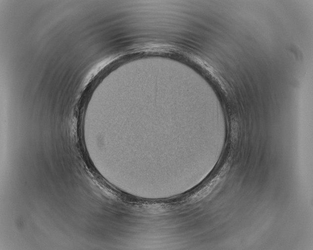 X0000111361066200908211252