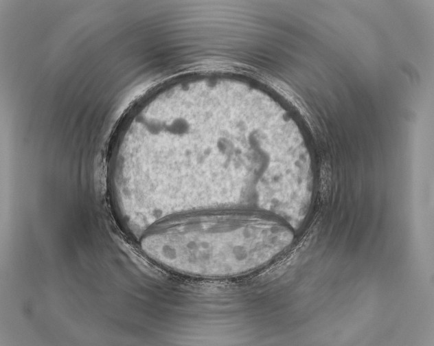 X0000111361067200908211252