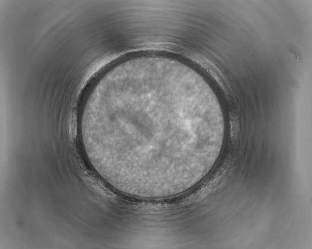 X0000111361069200908211252