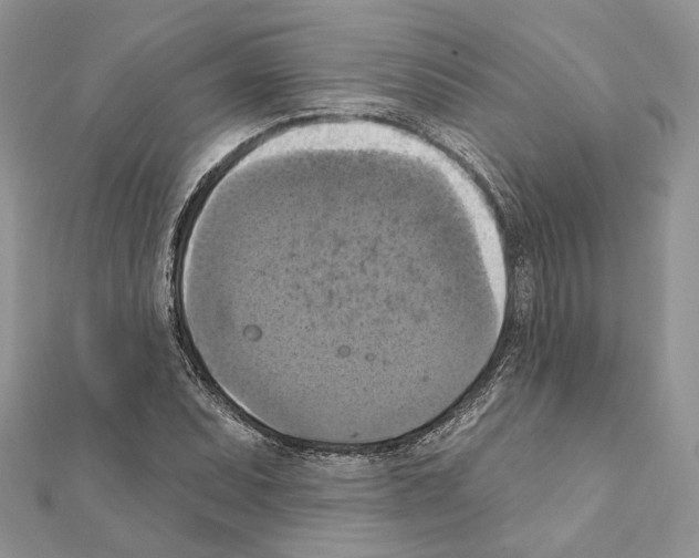 X0000111361071200908211252