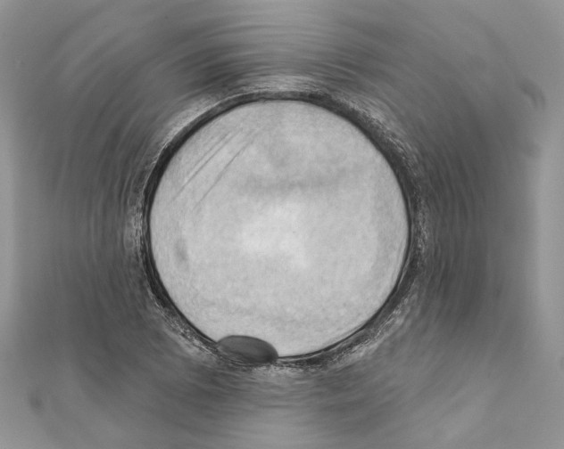 X0000111361073200908211252