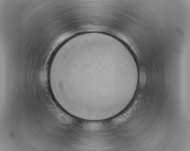 X0000111361074200908211252