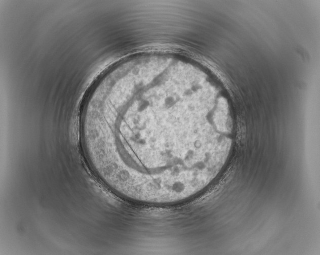 X0000111361075200908211252