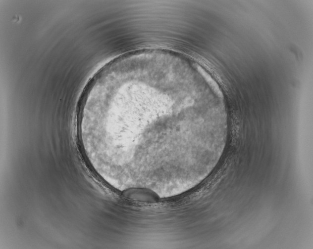 X0000111361076200908211252