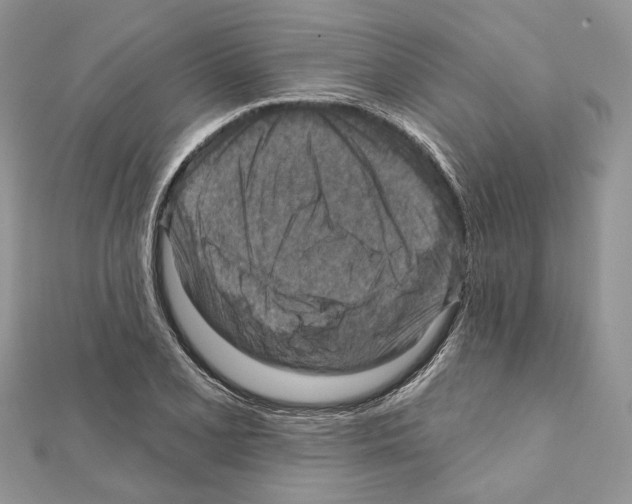 X0000111361077200908211252