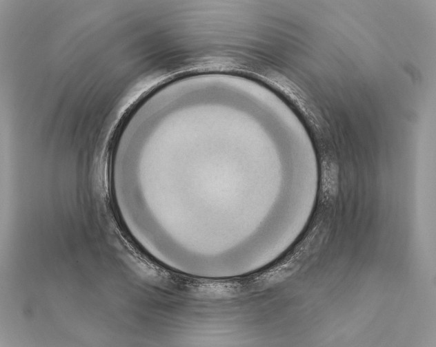 X0000111361078200908211252