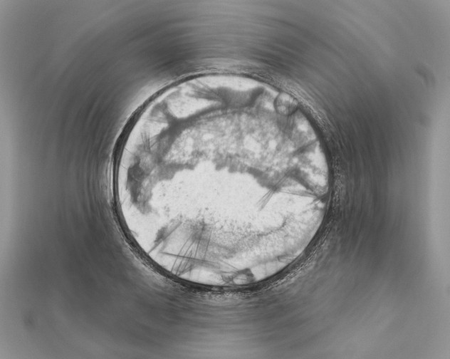 X0000111361079200908211252