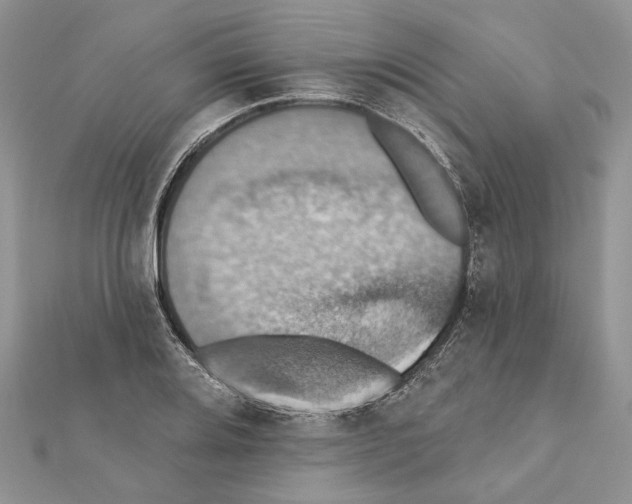 X0000111361080200908211252