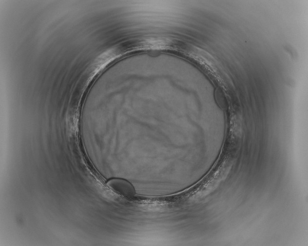 X0000111361081200908211252