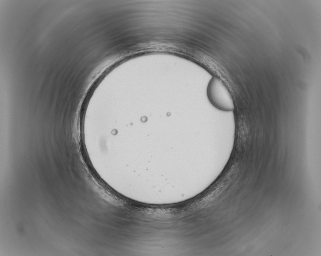 X0000111361082200908211252