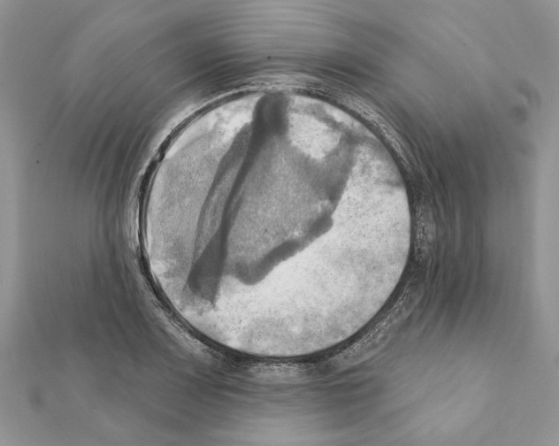 X0000111361083200908211252