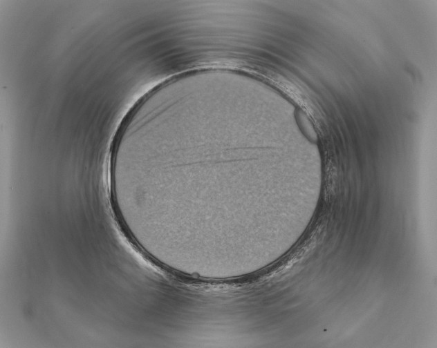 X0000111361084200908211252