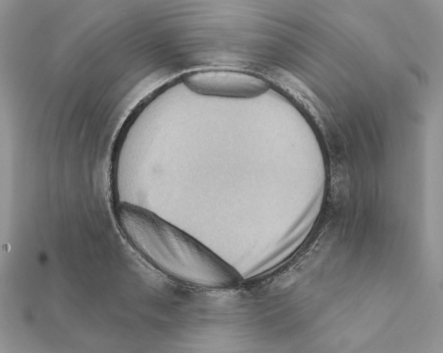 X0000111361085200908211252