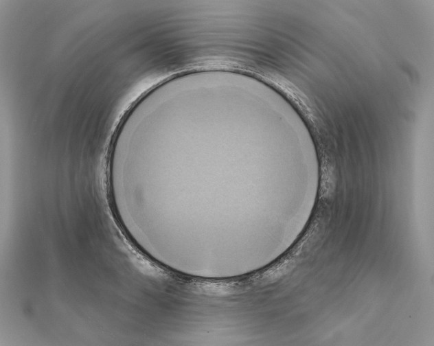 X0000111361086200908211251