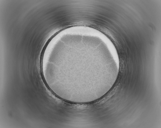 X0000111361087200908211251