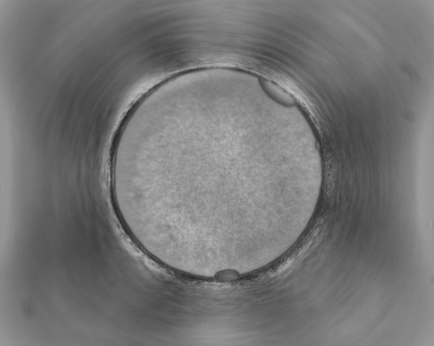 X0000111361088200908211251