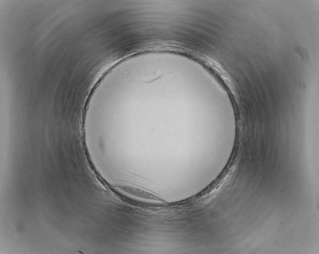 X0000111361089200908211251