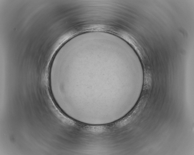 X0000111361090200908211251