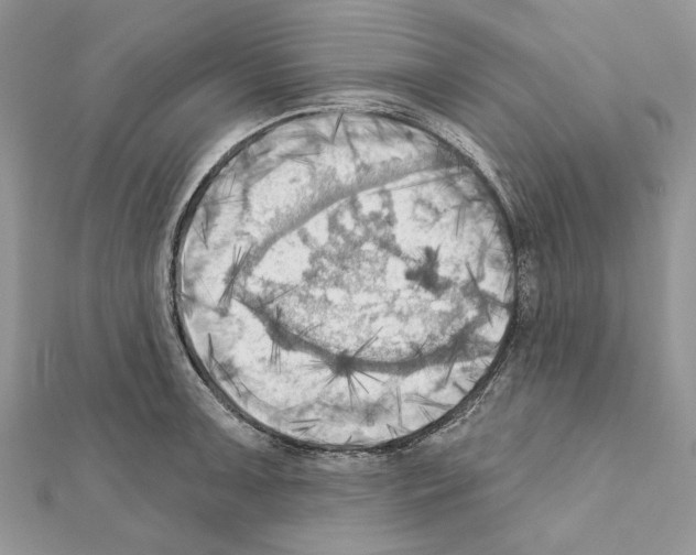 X0000111361091200908211251