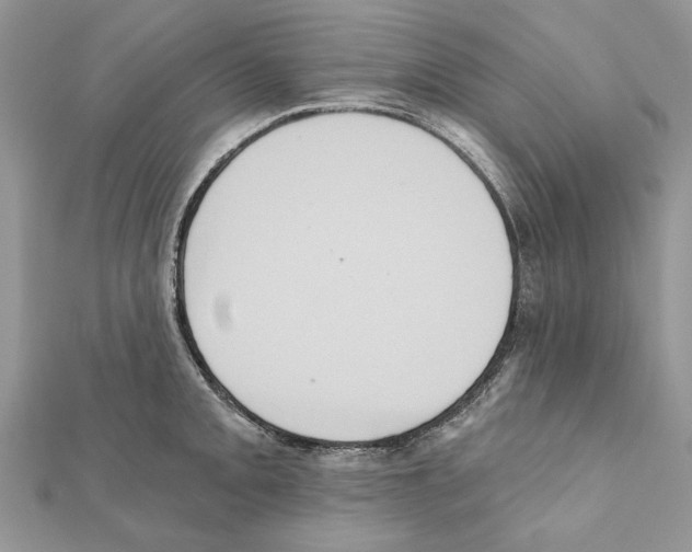 X0000111361093200908211251