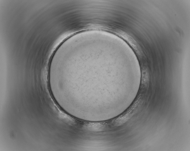 X0000111361094200908211251