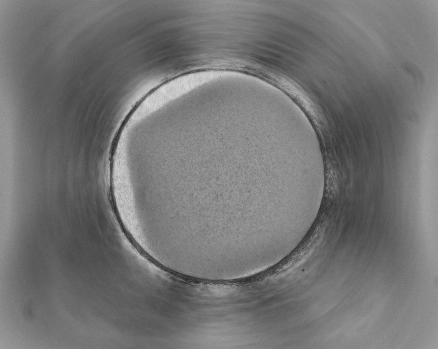 X0000111361095200908211251