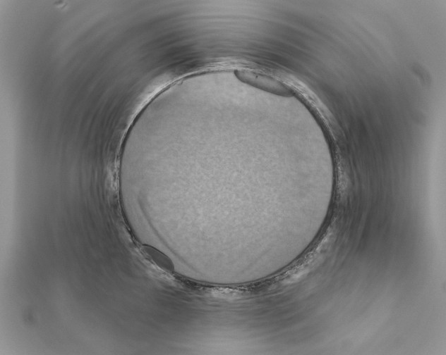 X0000111361097200908211251