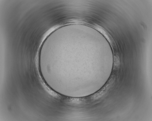 X0000111361098200908211251
