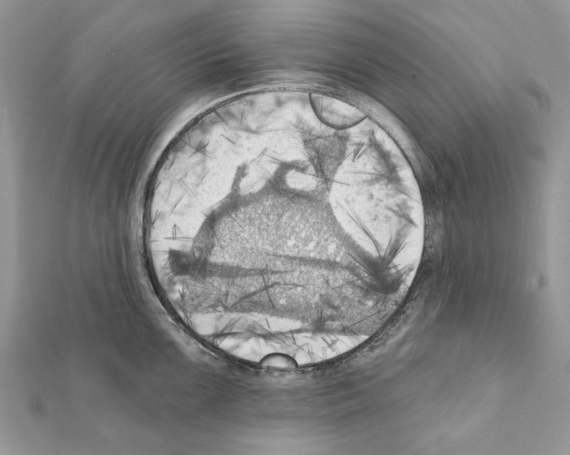 X0000111361099200908211251