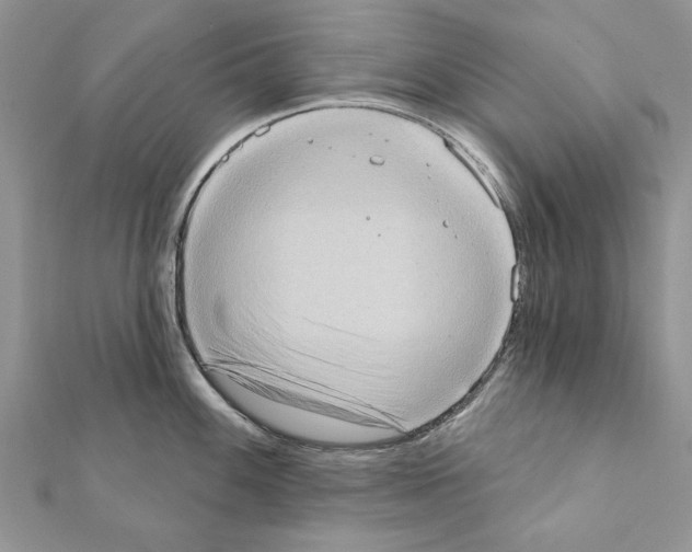 X0000111361100200908211251