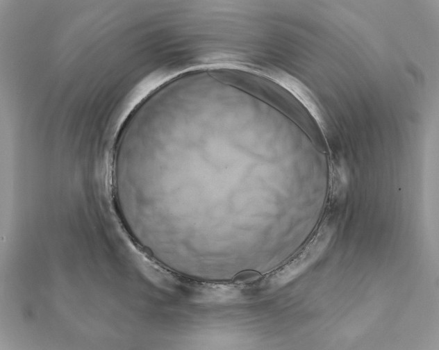 X0000111361101200908211251