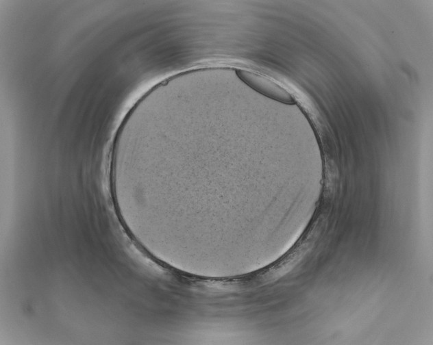 X0000111361102200908211251