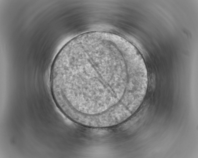 X0000111361103200908211251
