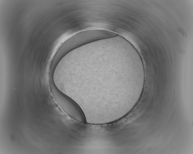 X0000111361104200908211251